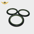 Low friction resistance PTFE bronze rod seal GSJ